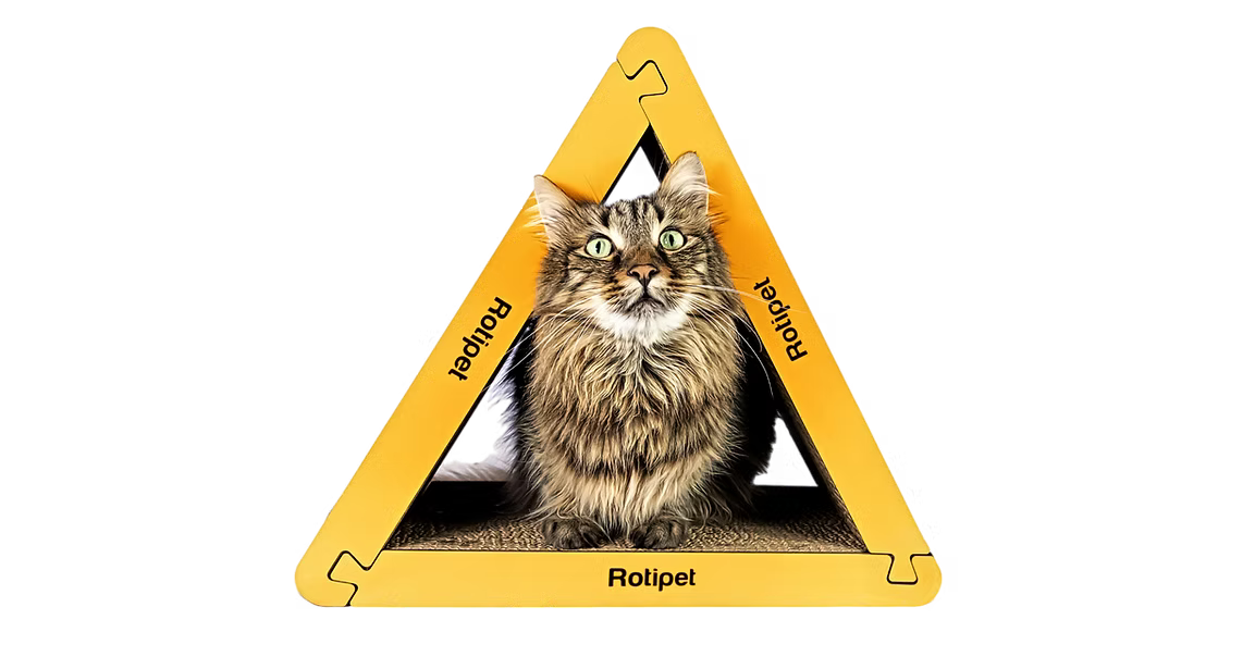 Tiragraffi Gatti