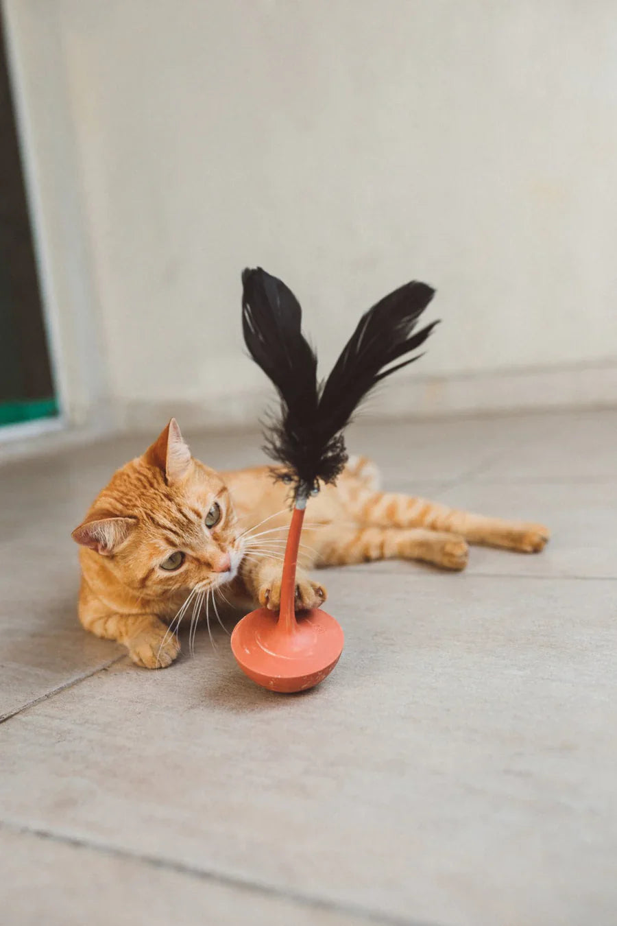 Giochi Gatto
